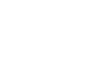 LA Borraja